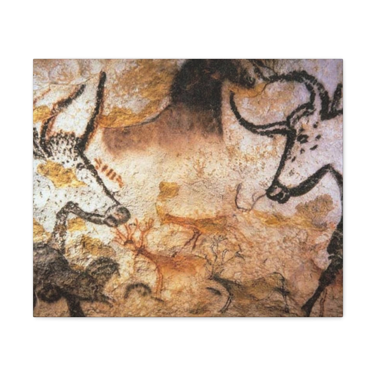 Lascaux Cave Art