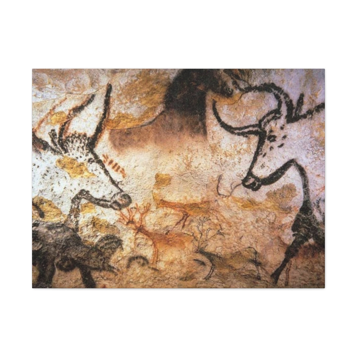 Lascaux Cave Art
