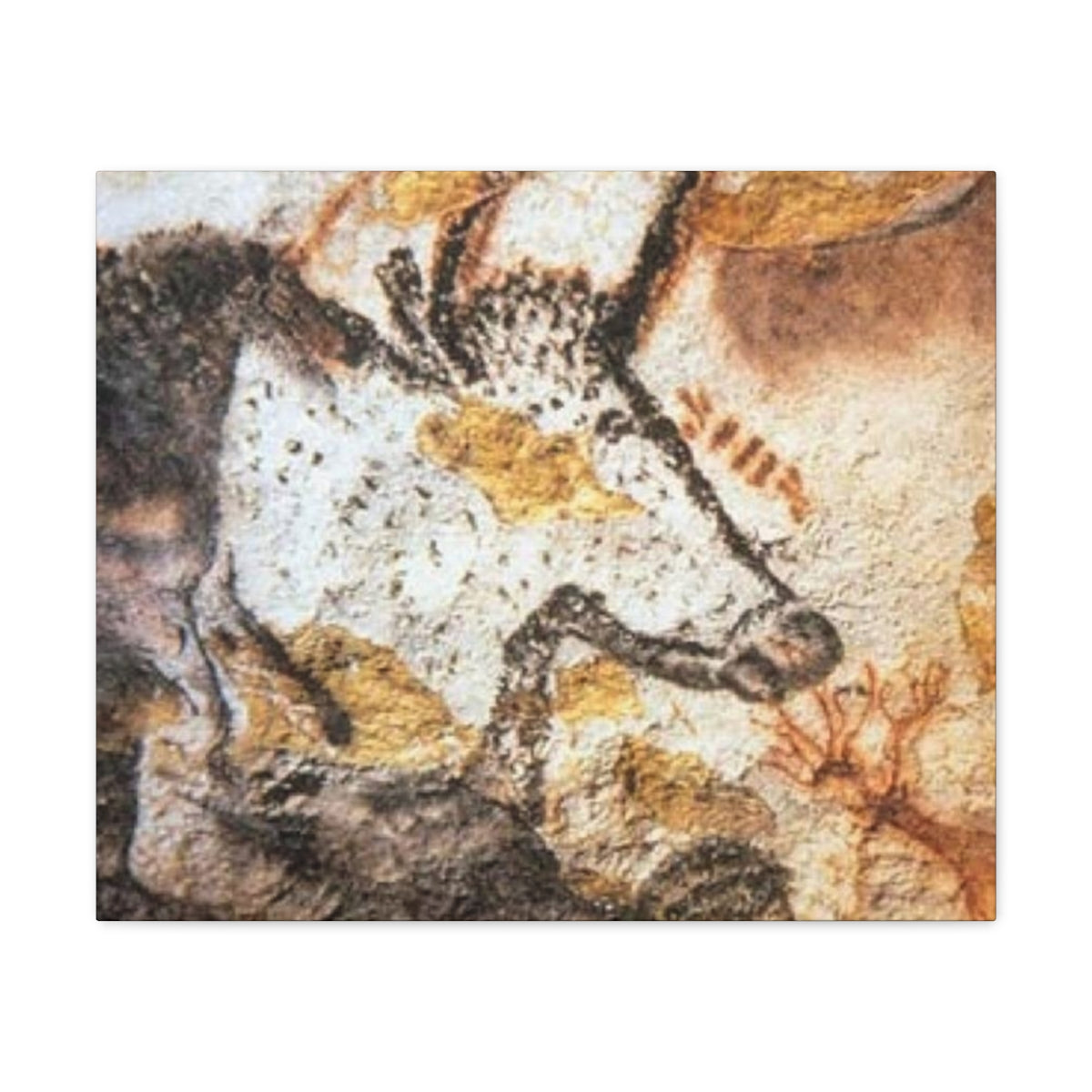 Lascaux Cave Art