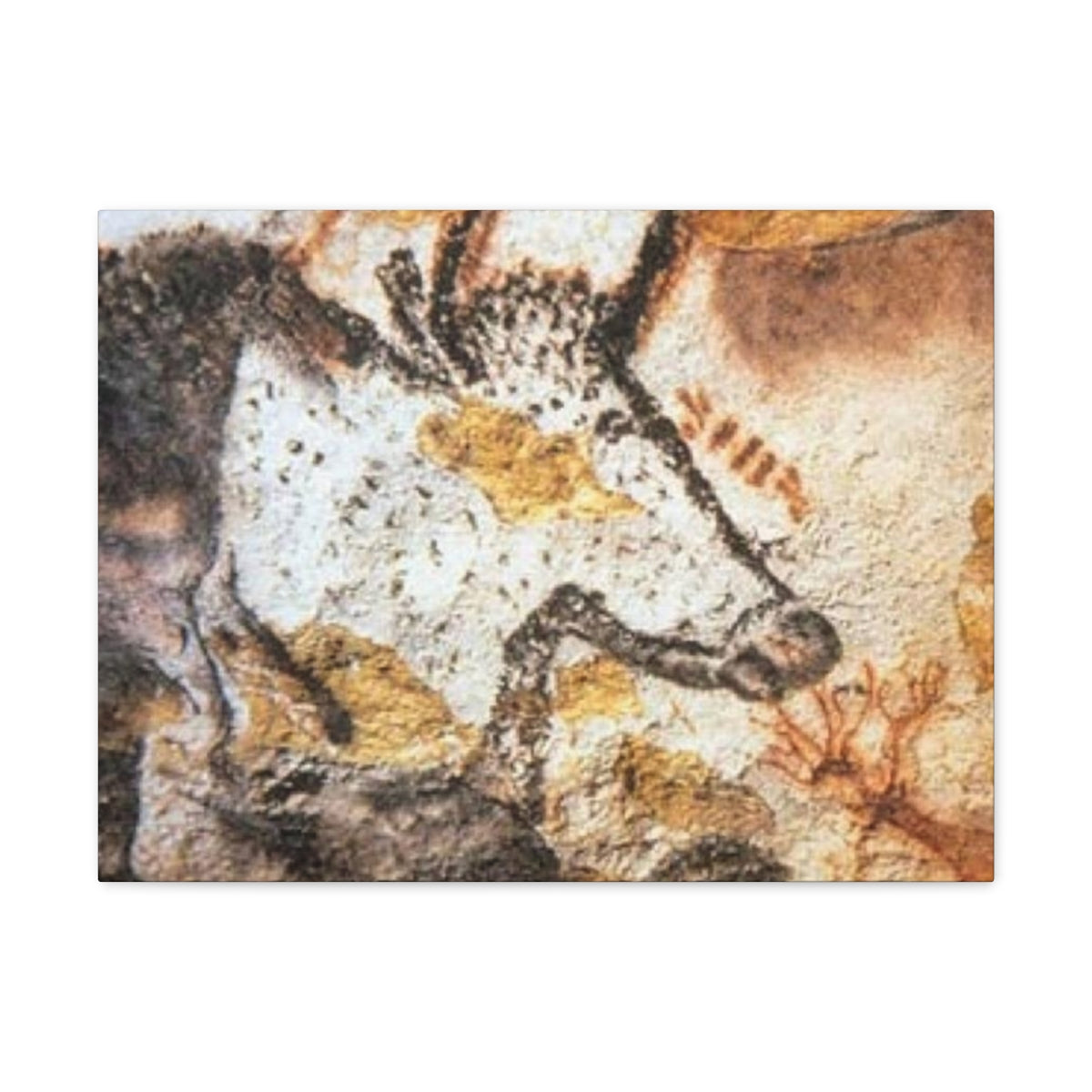 Lascaux Cave Art