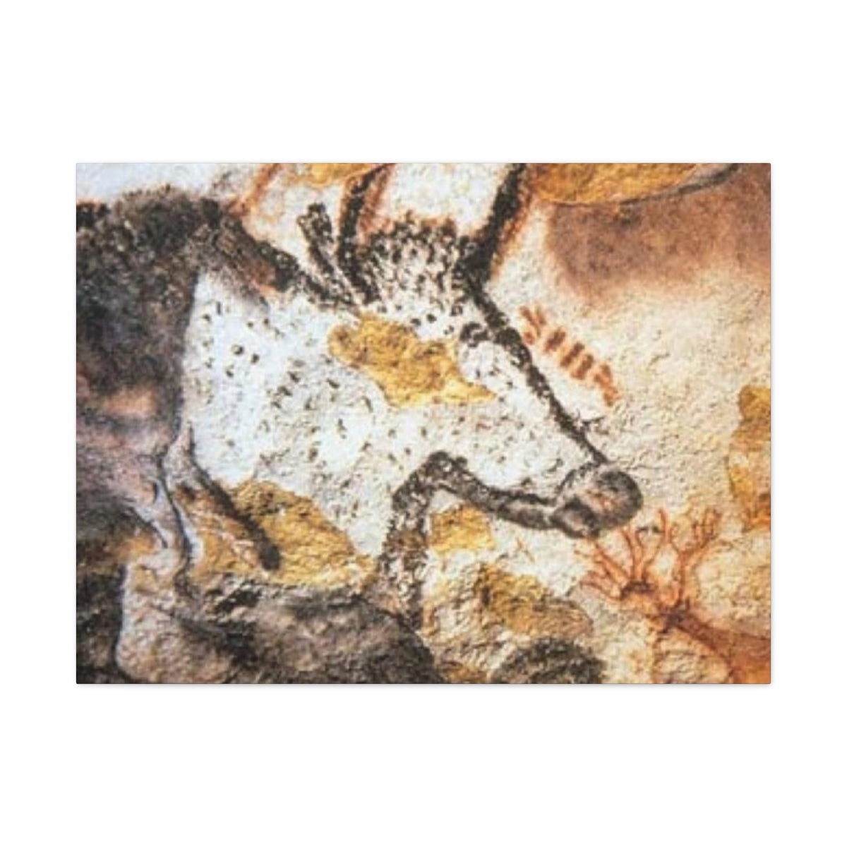 Lascaux Cave Art