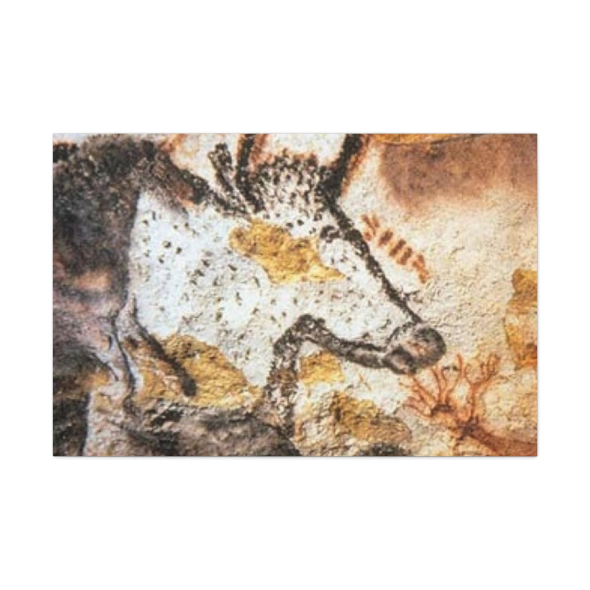 Lascaux Cave Art