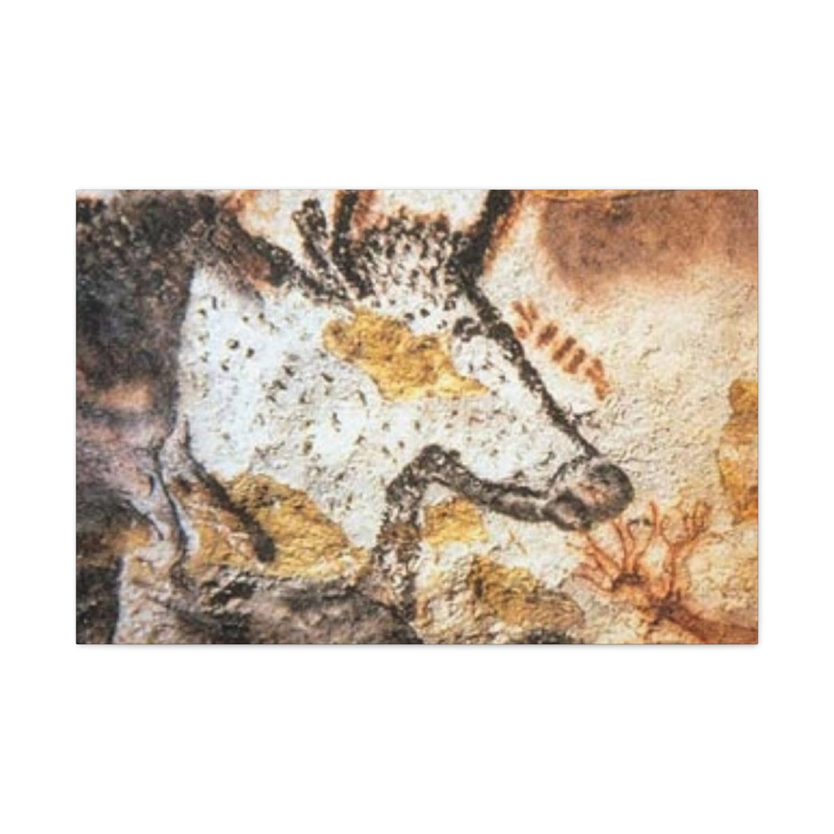 Lascaux Cave Art